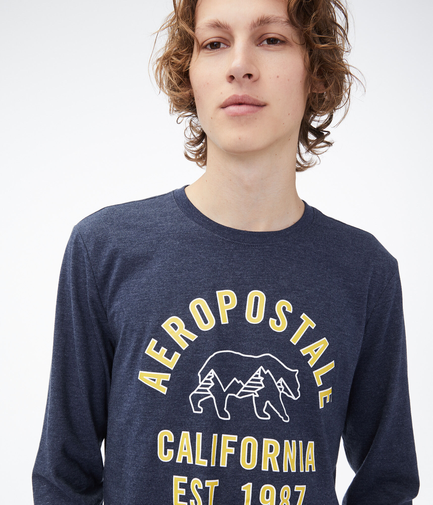 Long Sleeve Aeropostale California Bear Graphic Tee
