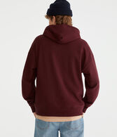 Aero Solid Pullover Hoodie