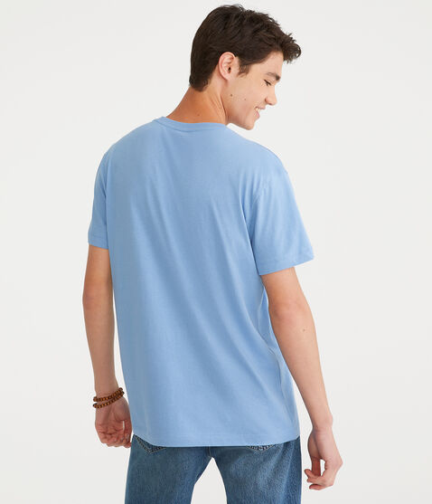Aero Crest Appliqué Graphic Tee