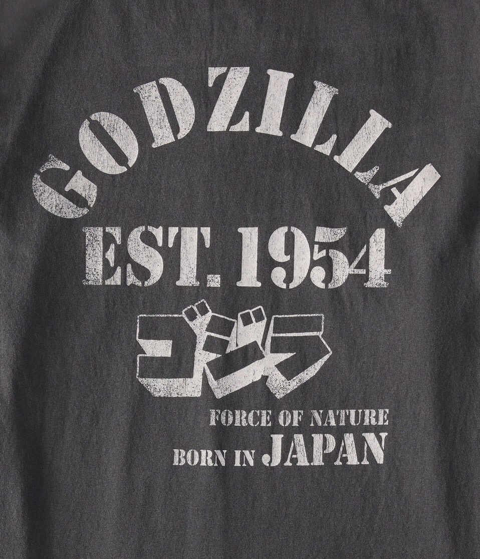 Godzilla King Of The Monsters Relaxed Graphic Tee1