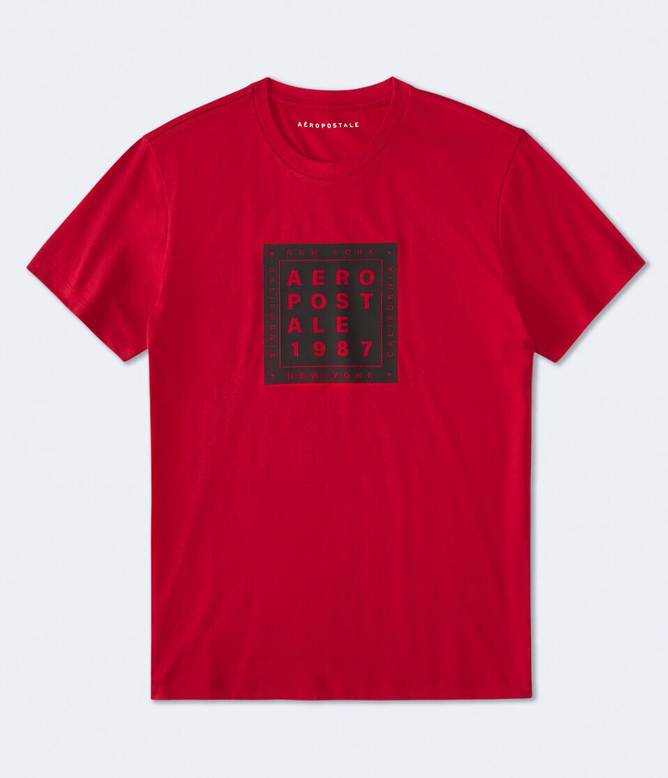 Aero Stacked Box Logo Graphic Tee