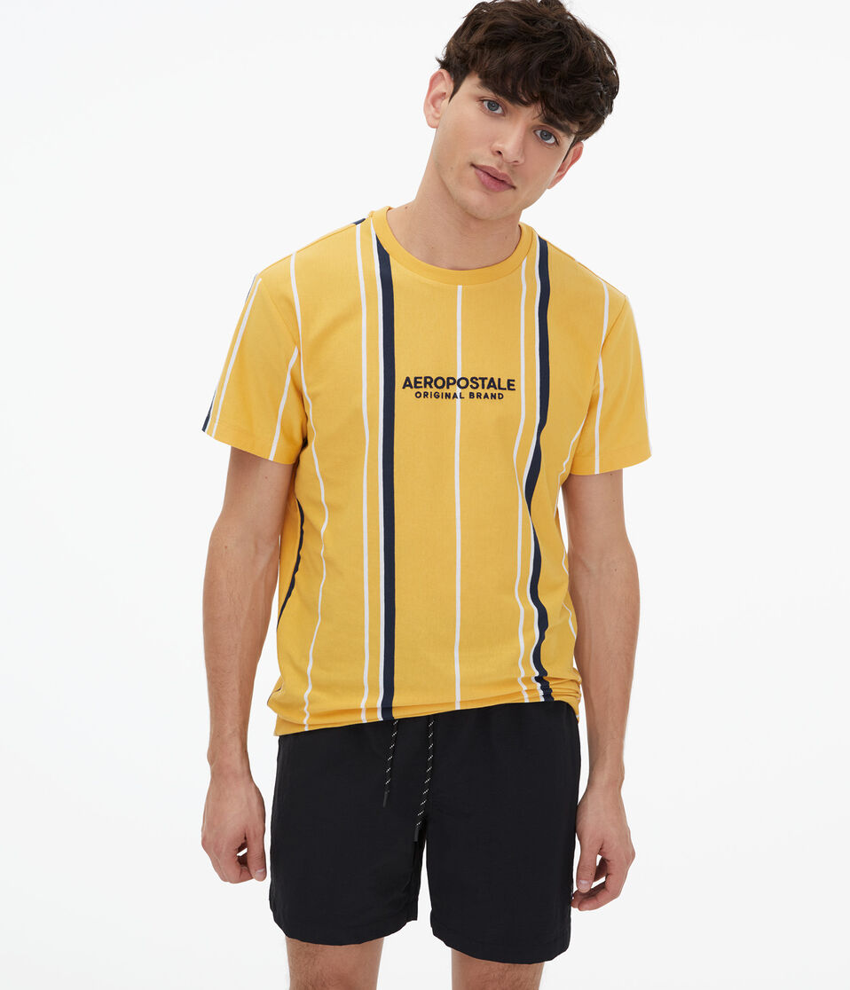 Aero Logo Vertical Stripe Graphic Tee