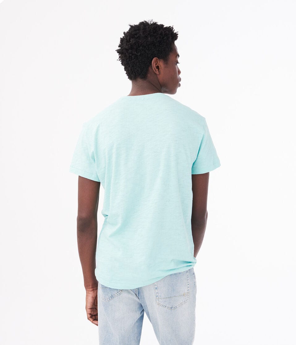 Los Angeles California Palm Tree Graphic Tee