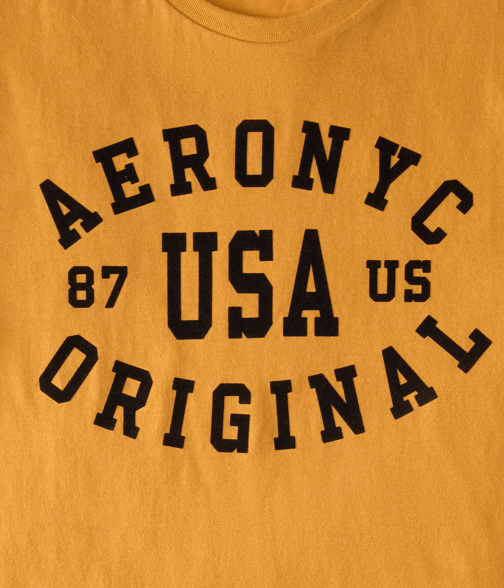 Aero NYC USA Flocked Graphic Tee