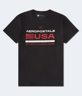 Aeropostale USA Flag Graphic Tee