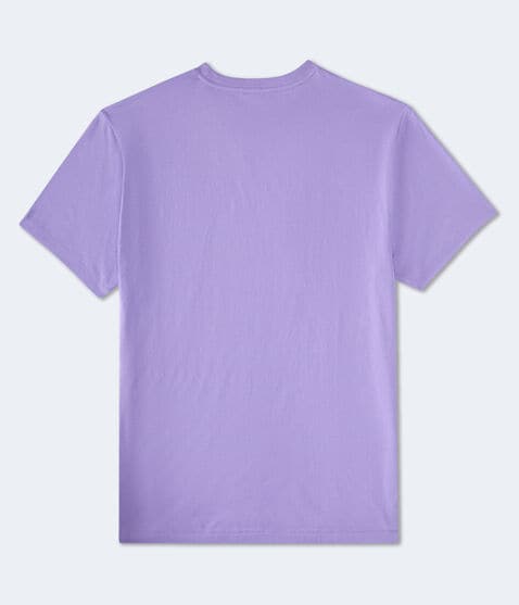 Aero NYC Oval Graphic Tee Aero NYC Oval Graphic Tee