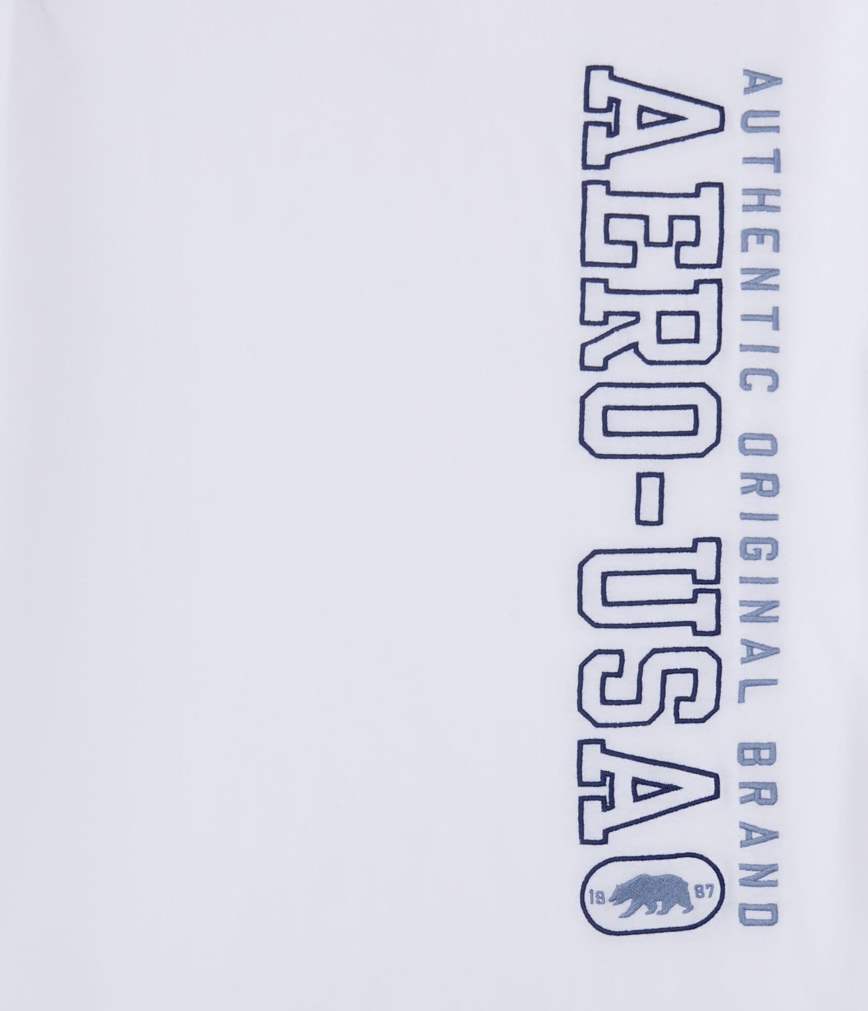 Aero-USA Bear Graphic Tee