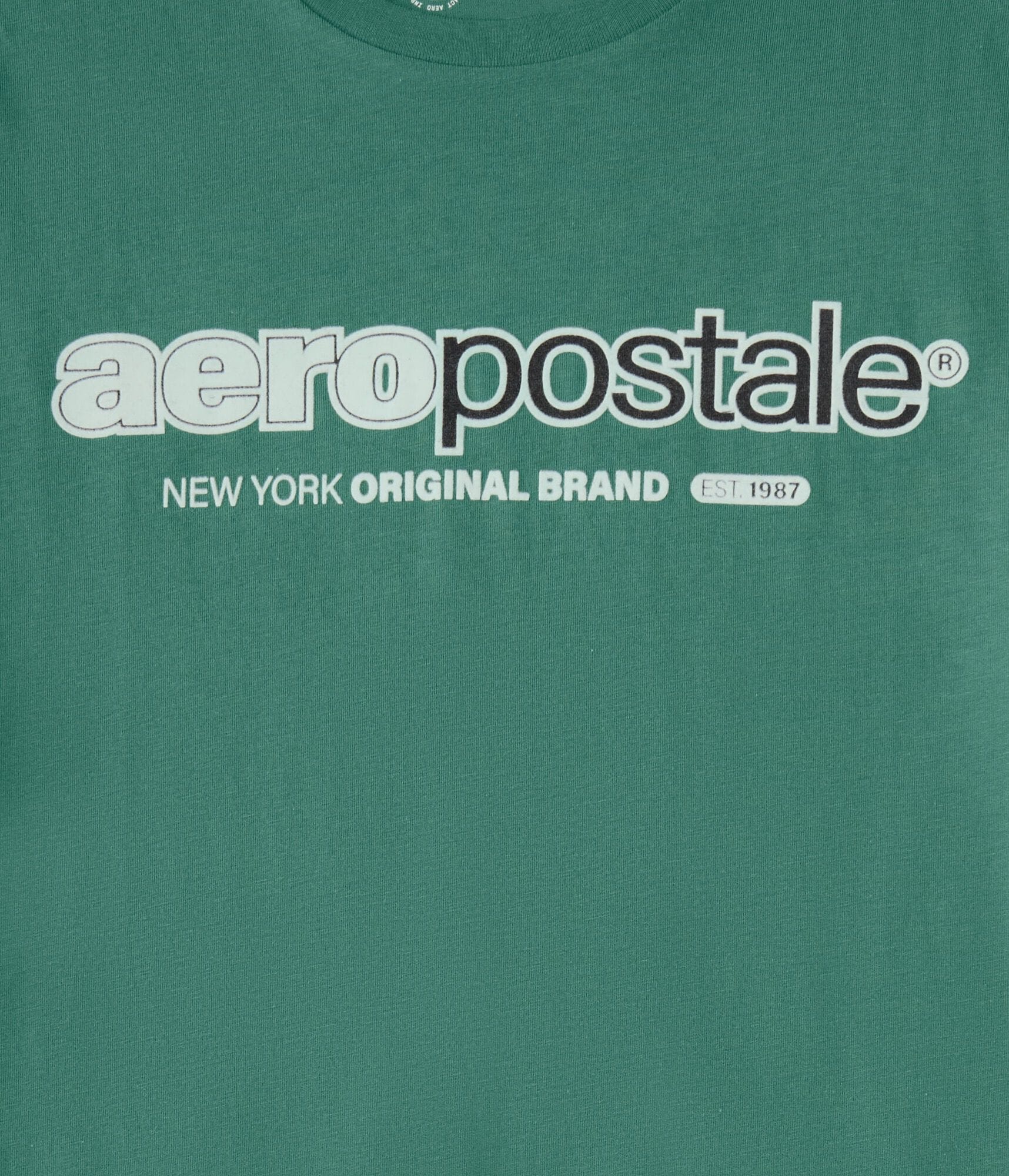 Aeropostale Mod Logo Flocked Graphic Tee