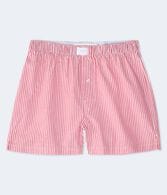 Thin Stripe 4" Woven Boxers