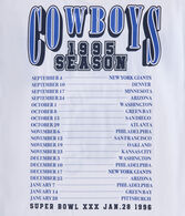 Dallas Cowboys Super Bowl Boxy Graphic Tee