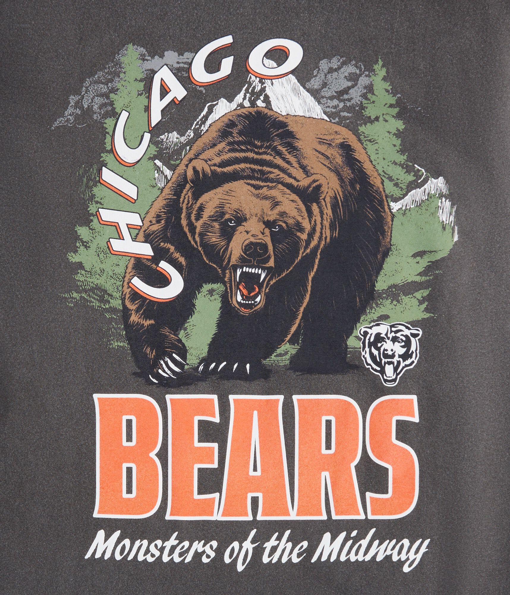 Chicago Bears Mascot Relaxed Graphic Tee