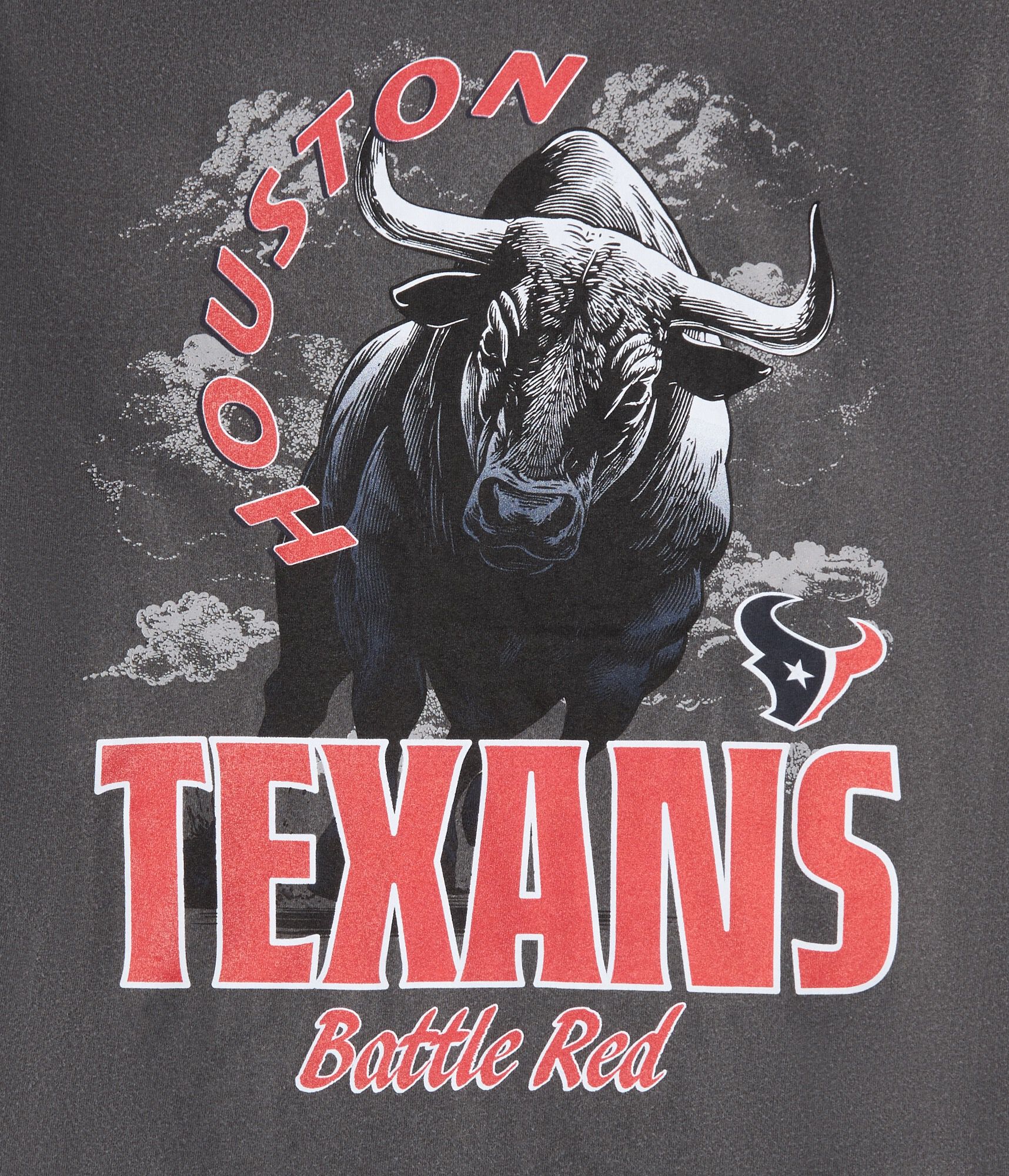 Houston Texans Mascot Relaxed Graphic Tee