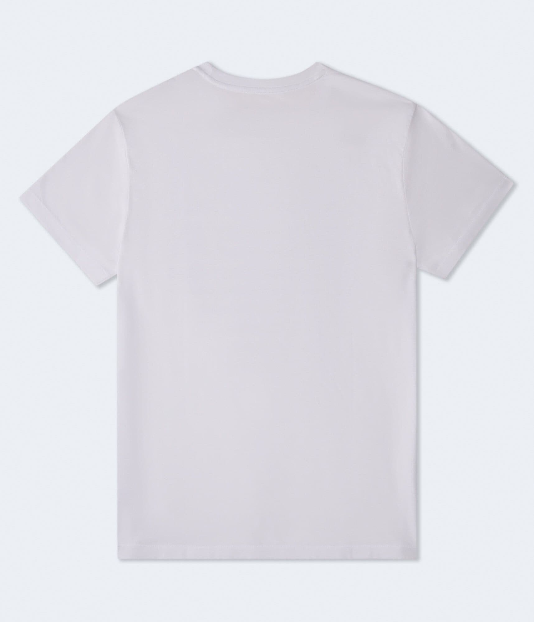 Aeropostale USA Flag Graphic Tee