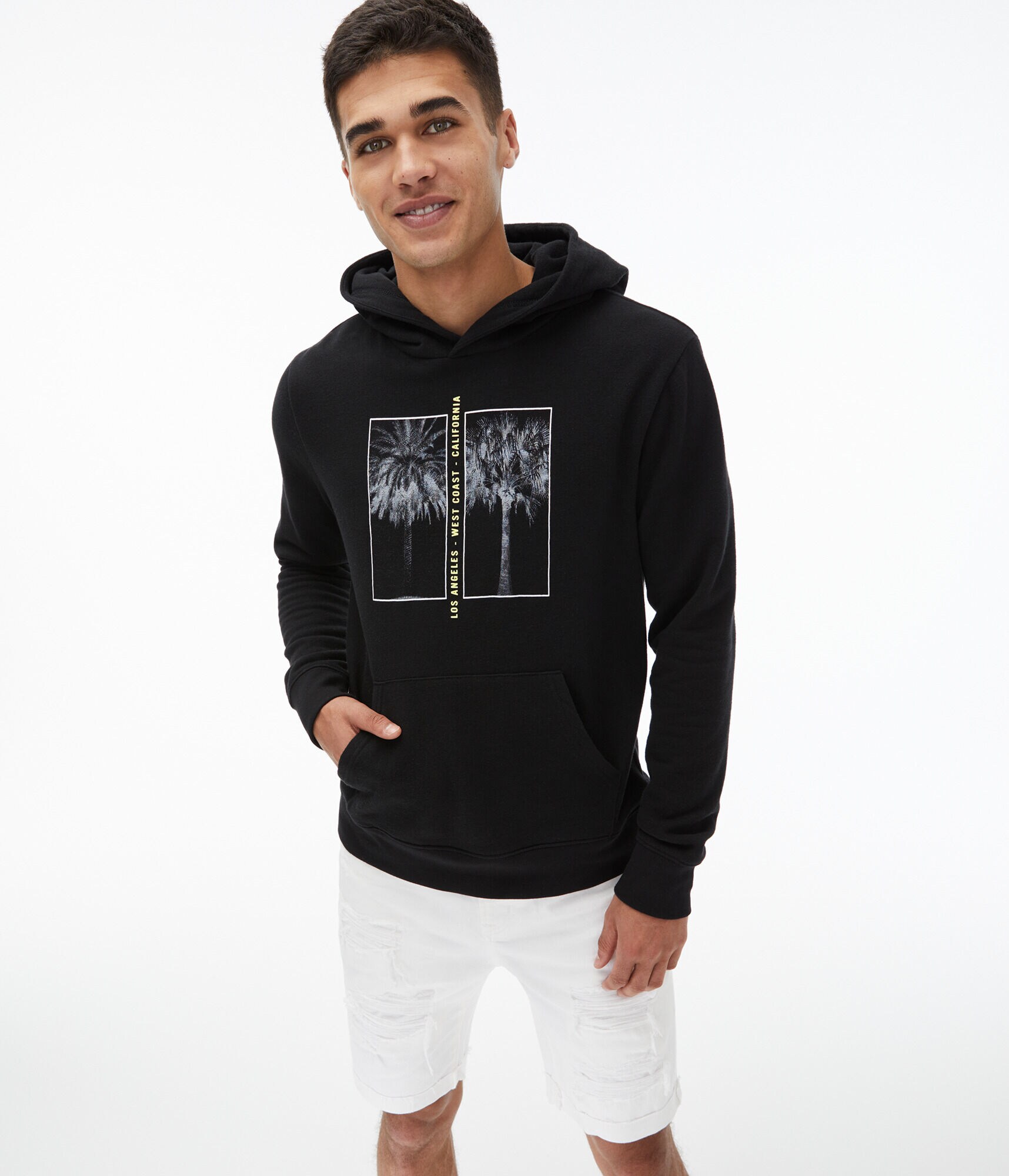 Los Angeles Palm Tree Pullover Hoodie