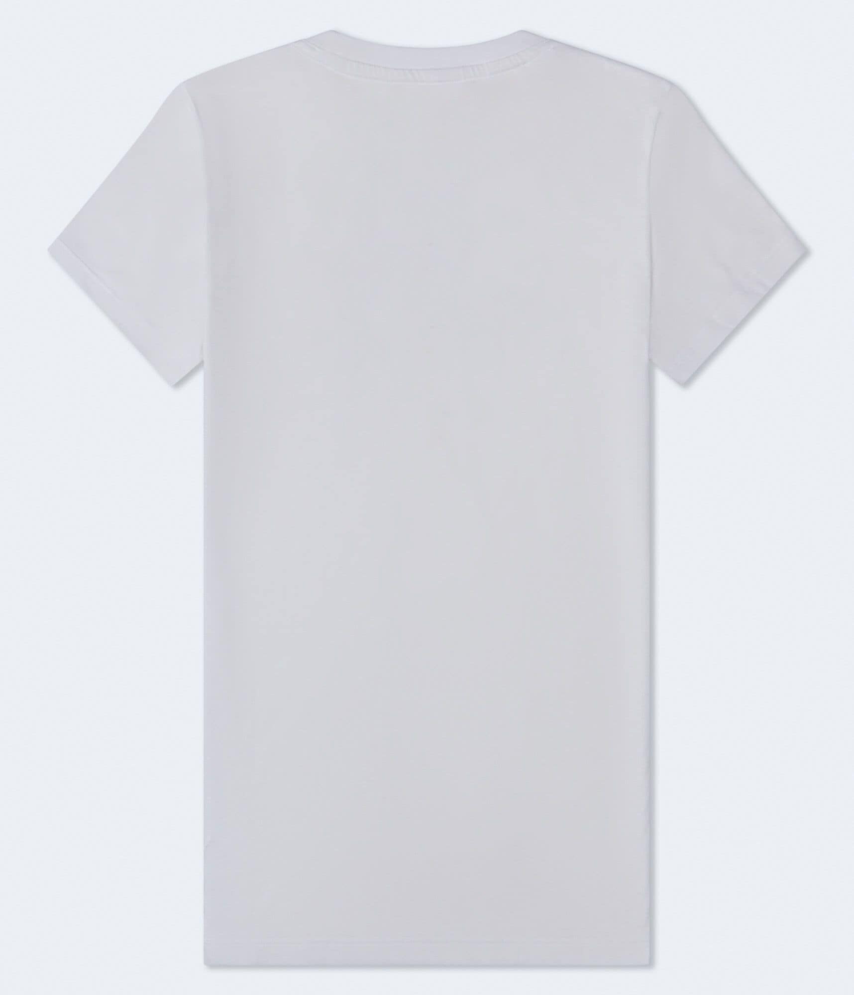 Aero 1987 Butterfly Graphic Tee