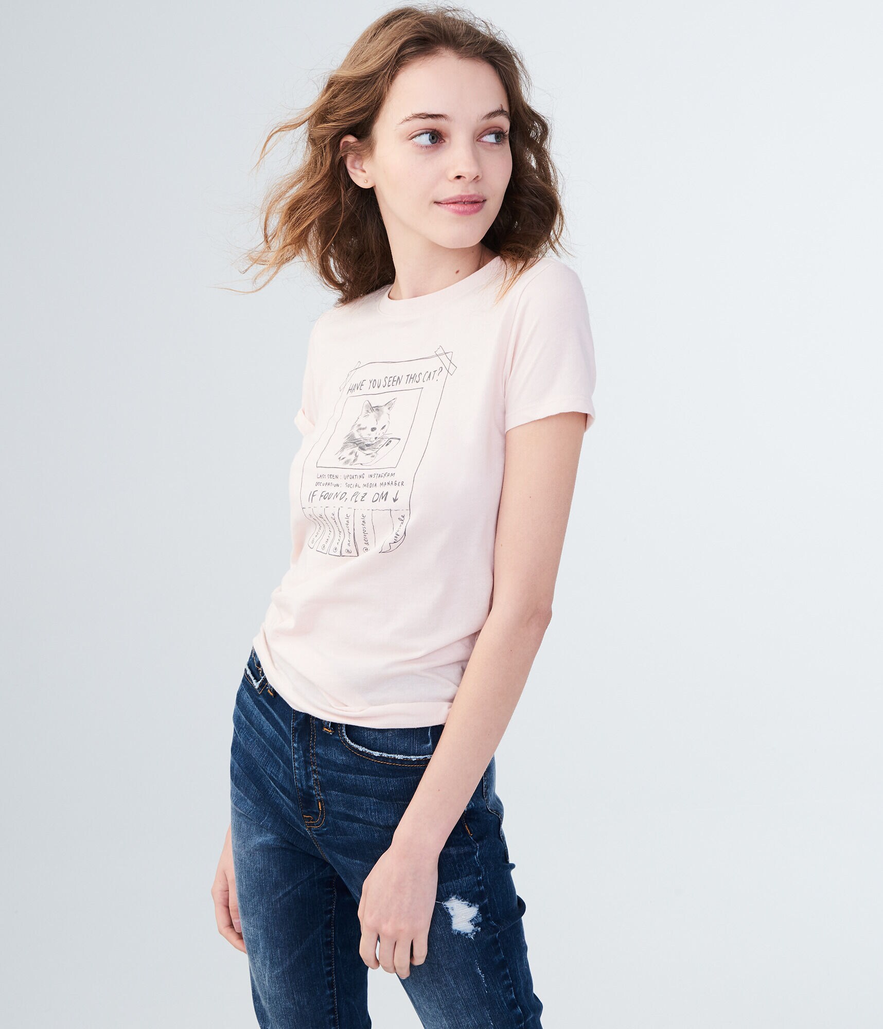 Have You Seen This Cat Graphic Tee