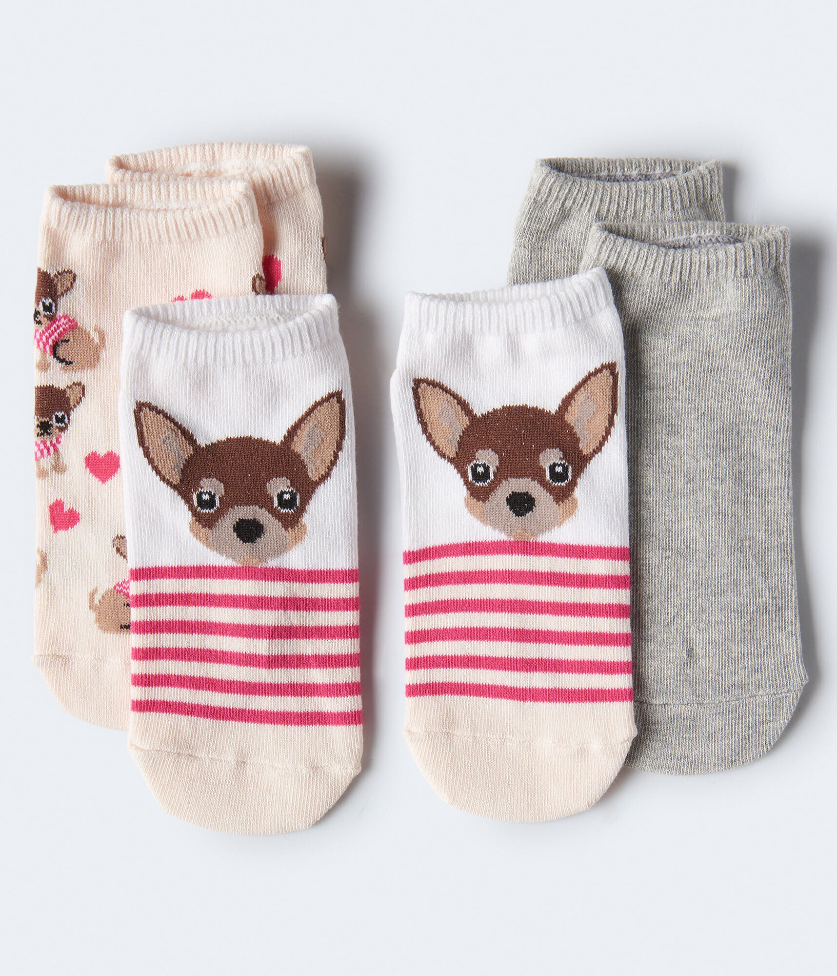 Chihuahua Ankle Sock 3-Pack