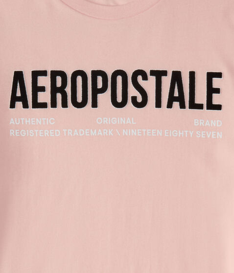 Aeropostale Authentic Logo Flocked Graphic Tee Aeropostale Authentic Logo Flocked Graphic Tee