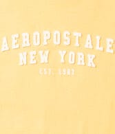Aeropostale Arch Appliqué Graphic Tee