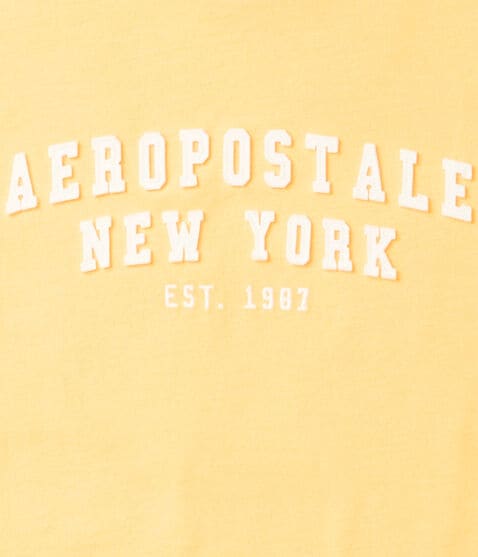 Aeropostale Arch Appliqué Graphic Tee