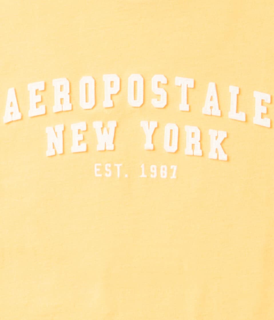 Aeropostale Arch Appliqué Graphic Tee