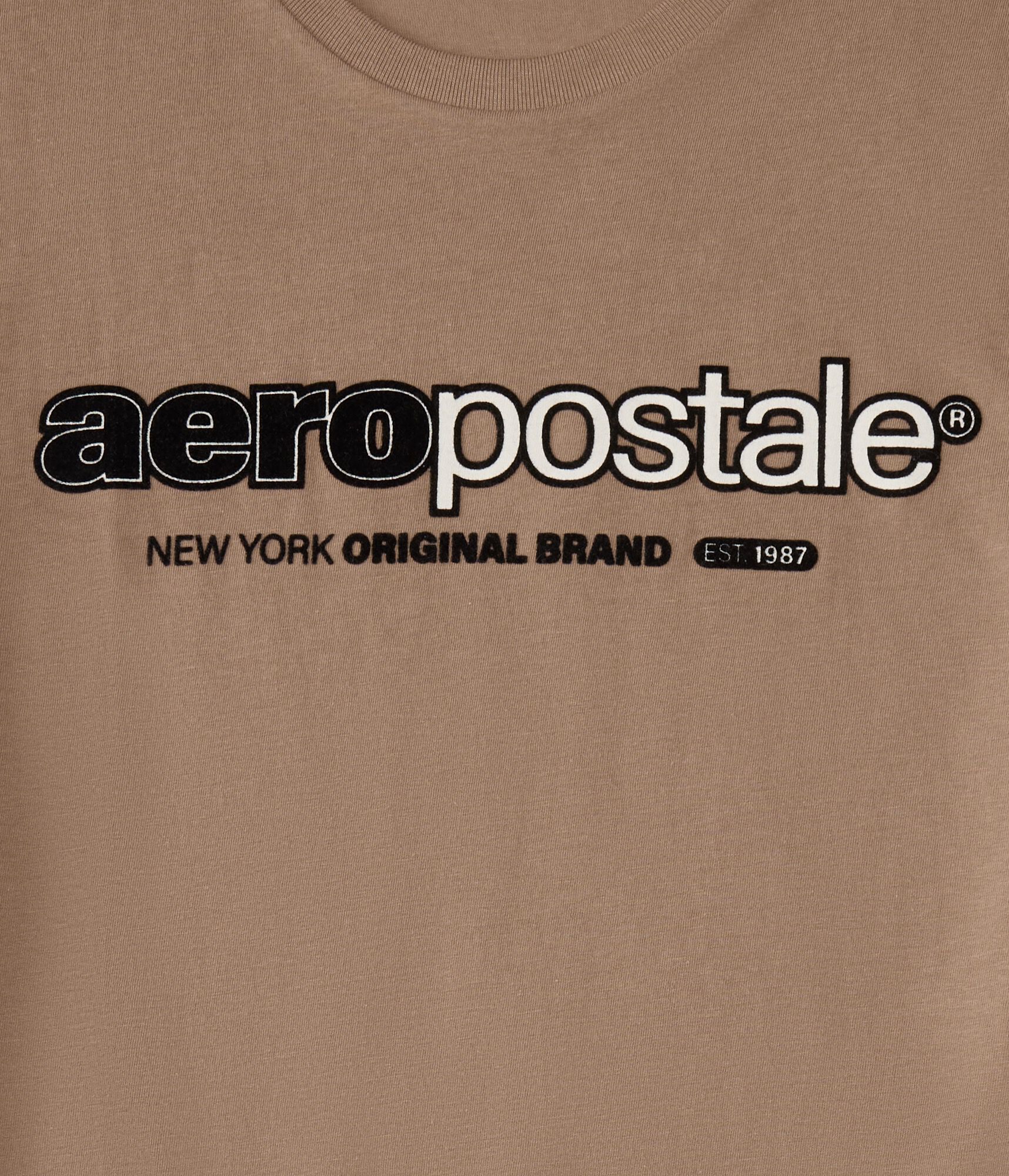 Aeropostale Mod Logo Flocked Graphic Tee