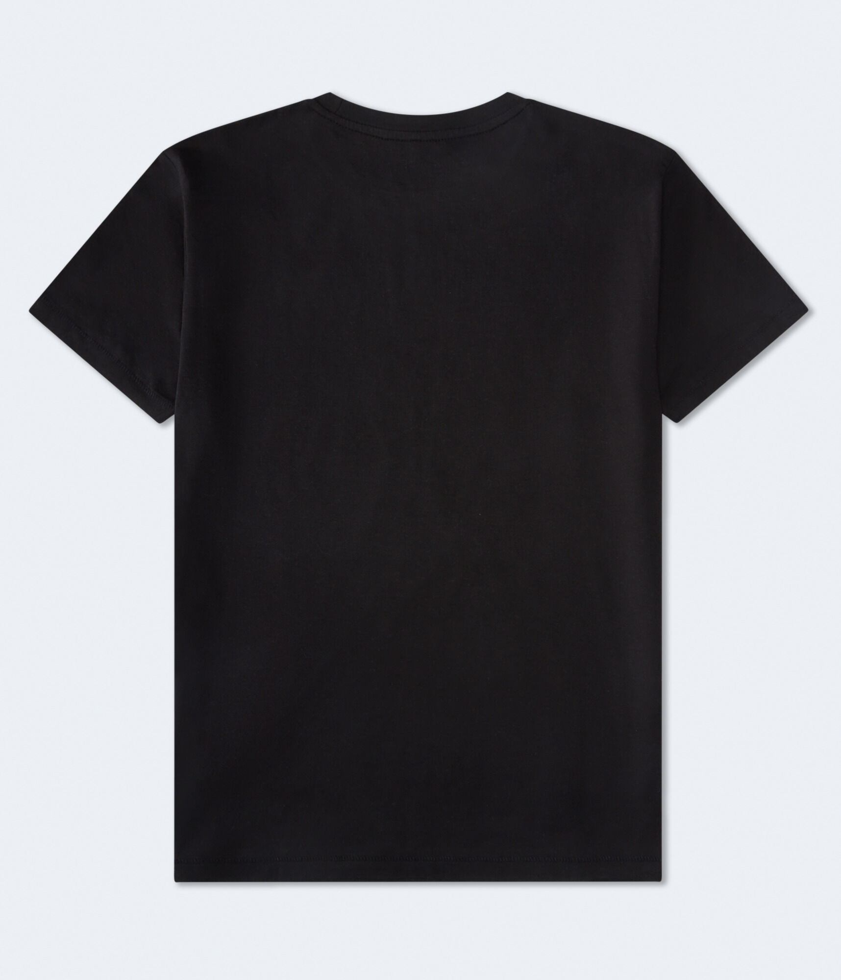 Aeropostale Laurel Circle Flocked Graphic Tee