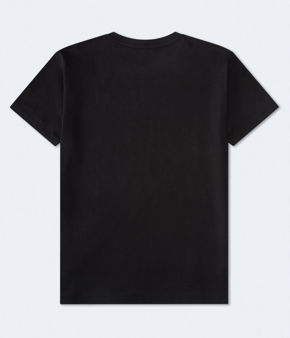 Aeropostale Laurel Circle Flocked Graphic Tee