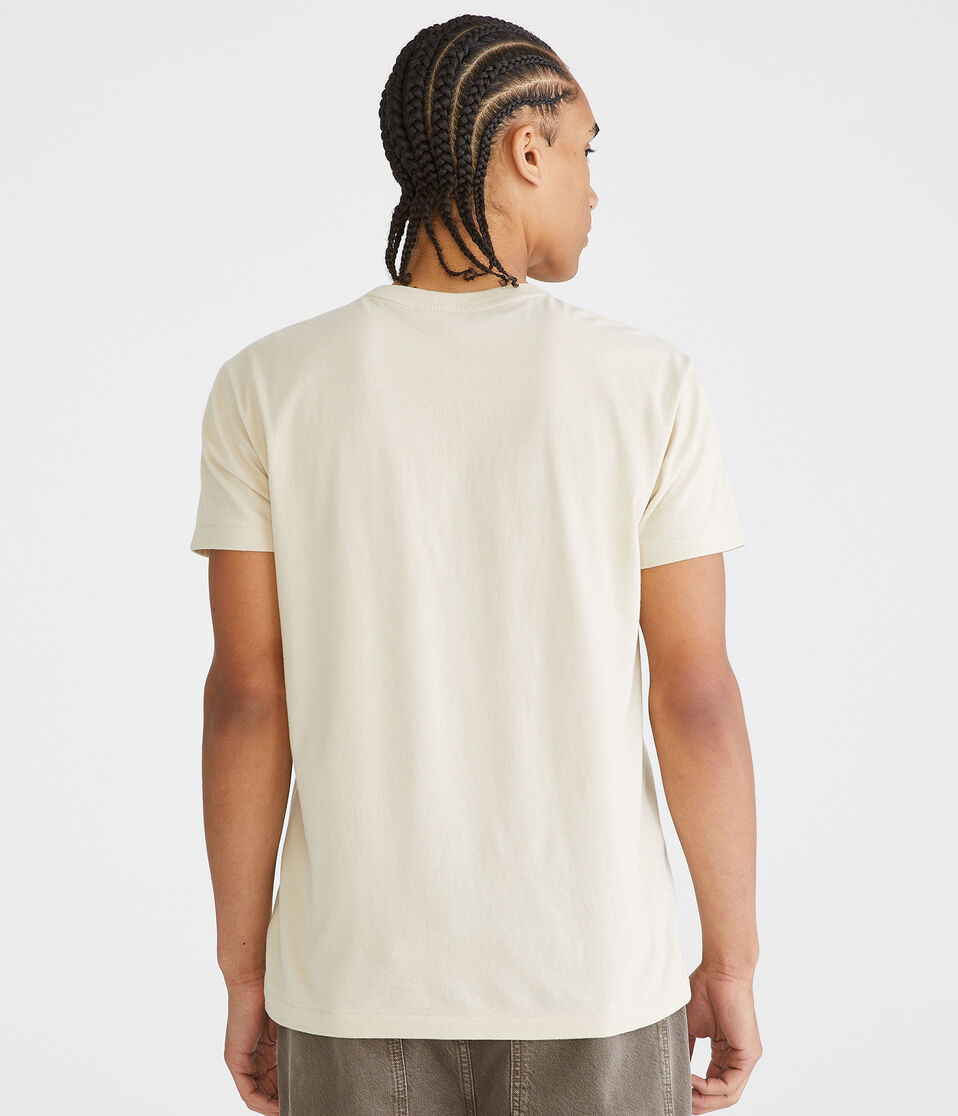 Aeropostale Oval Appliqué Graphic Tee