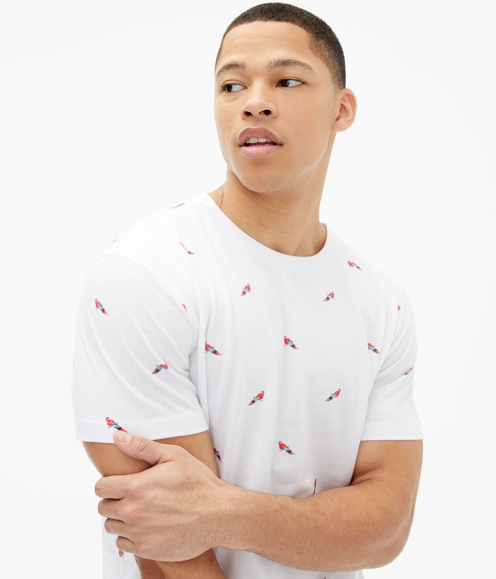 Parrot Print Graphic Tee