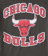 Chicago Bulls Relaxed Graphic Tee