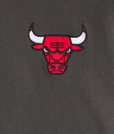 Chicago Bulls Relaxed Graphic Tee