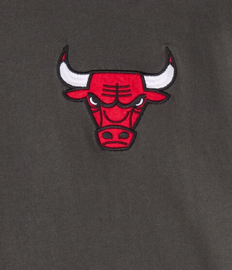 Chicago Bulls Relaxed Graphic Tee