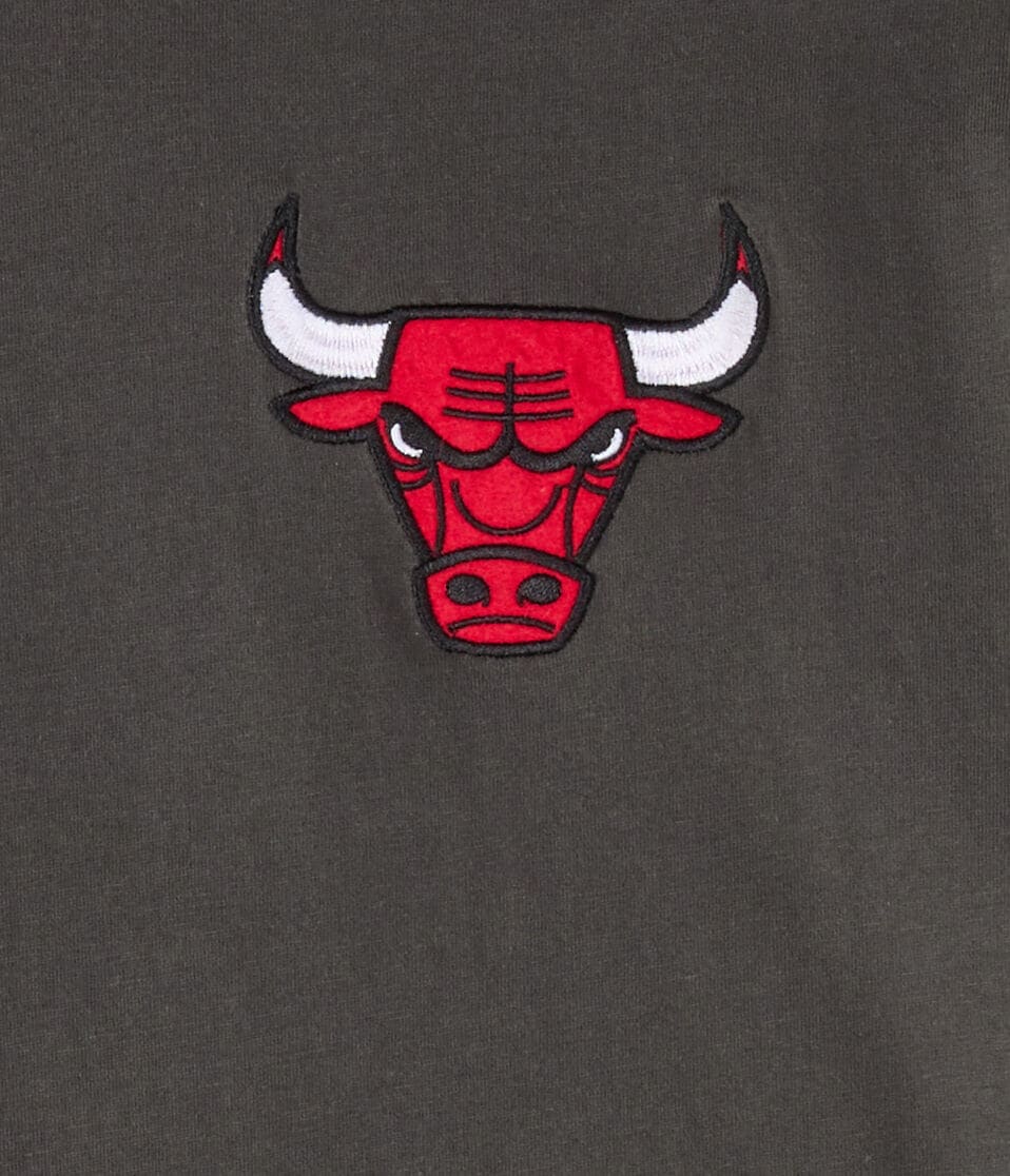 Chicago Bulls Relaxed Graphic Tee
