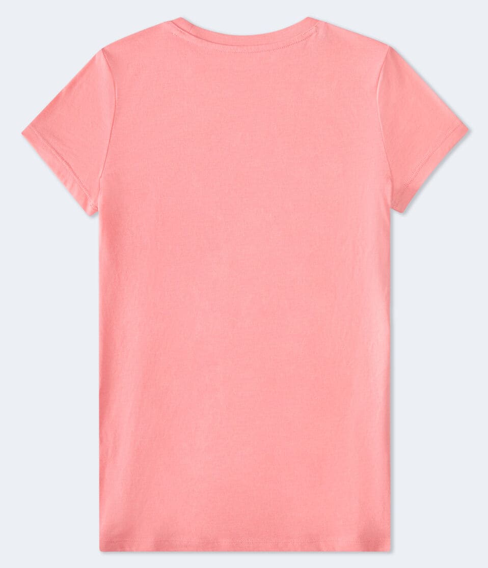 Aeropostale Butterfly Foil Graphic Tee