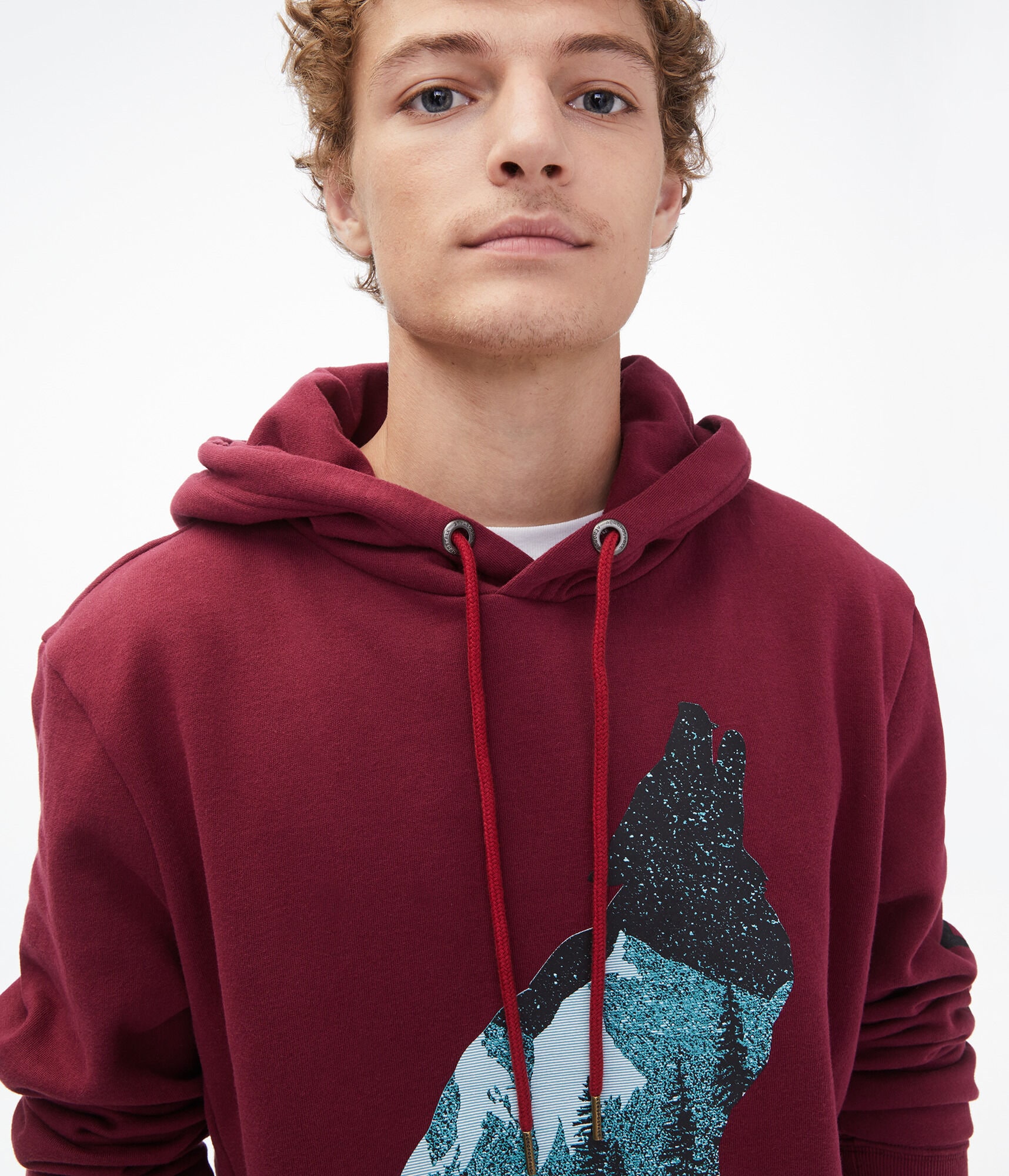 Wild Wolf Pullover Hoodie