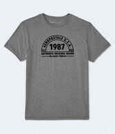 Aeropostale 1987 Arch Flocked Graphic Tee