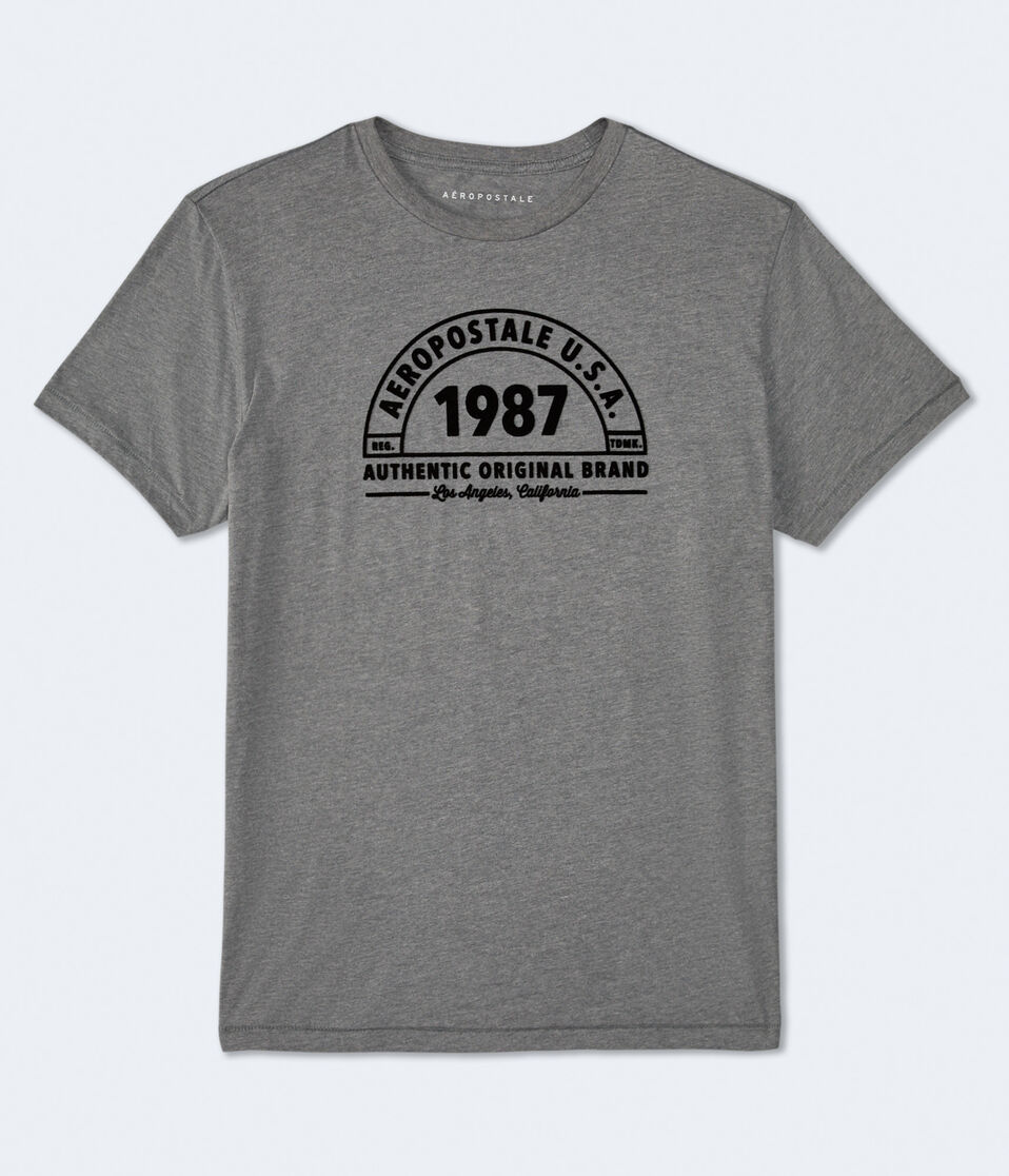 Aeropostale 1987 Arch Flocked Graphic Tee
