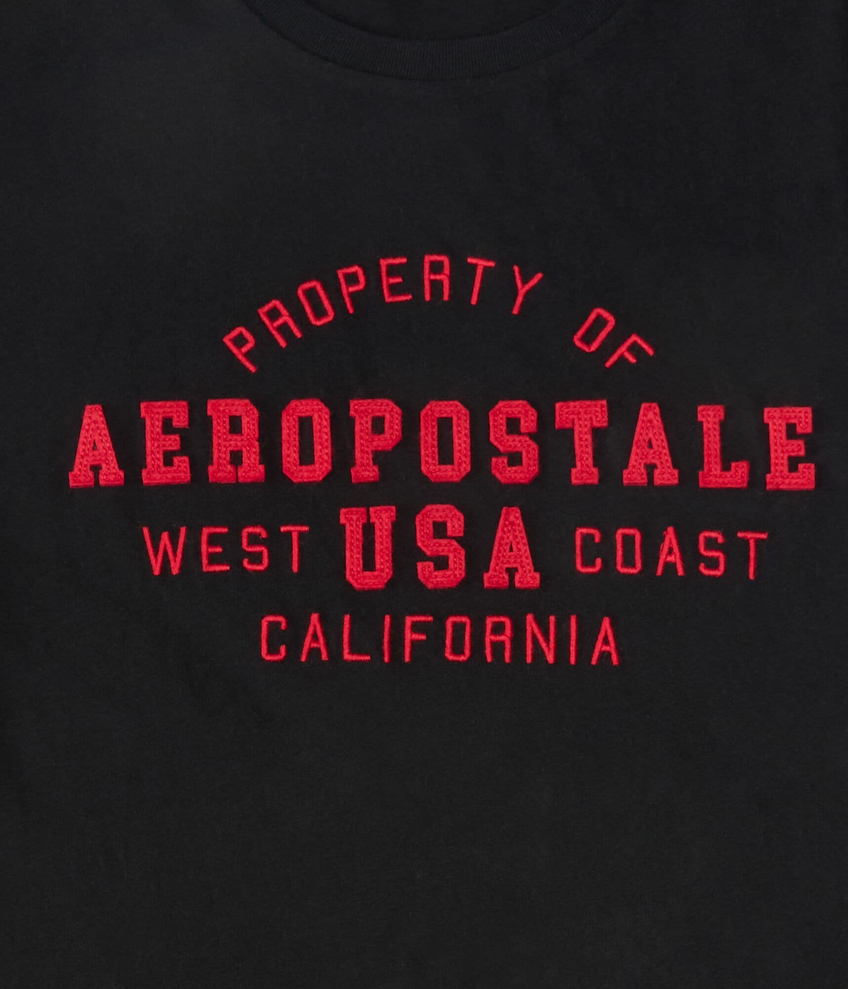 Aeropostale USA Appliqué Graphic Tee