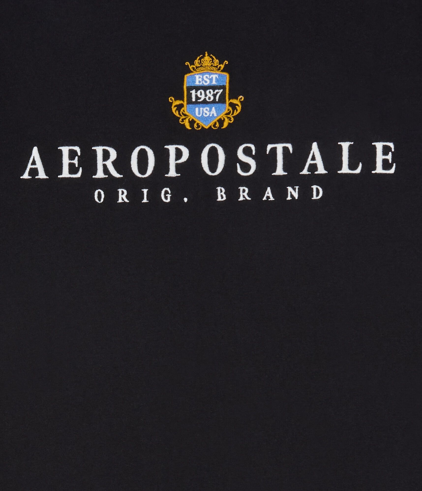 Aeropostale 1987 Crest Graphic Tee
