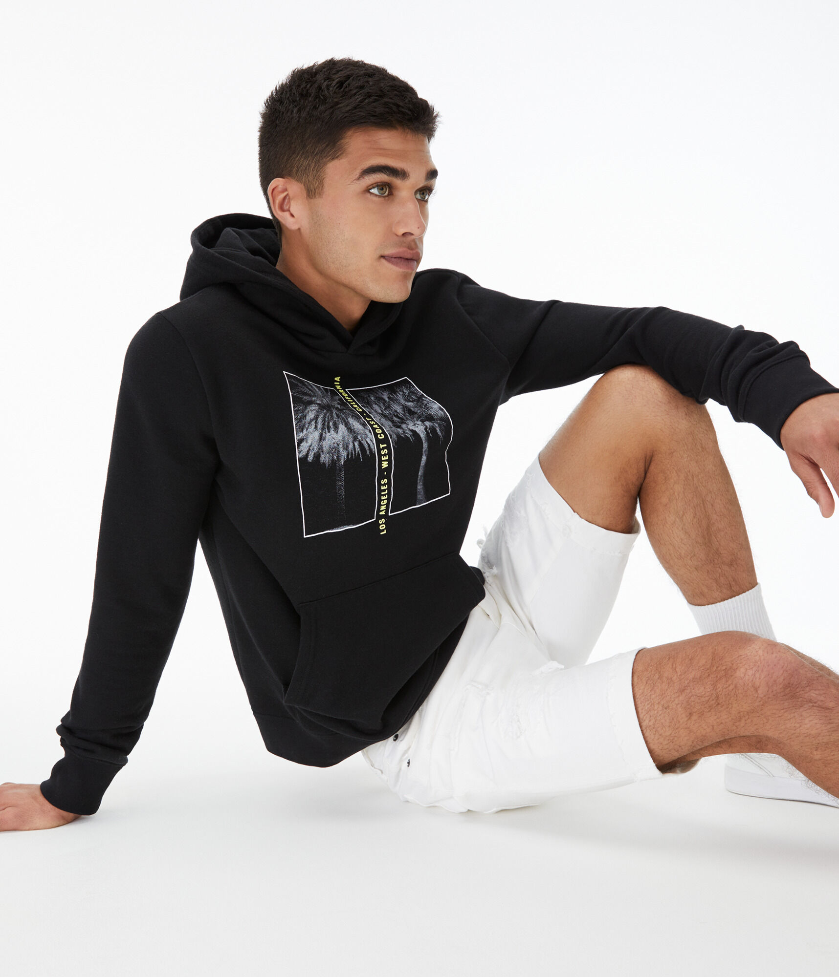 Los Angeles Palm Tree Pullover Hoodie