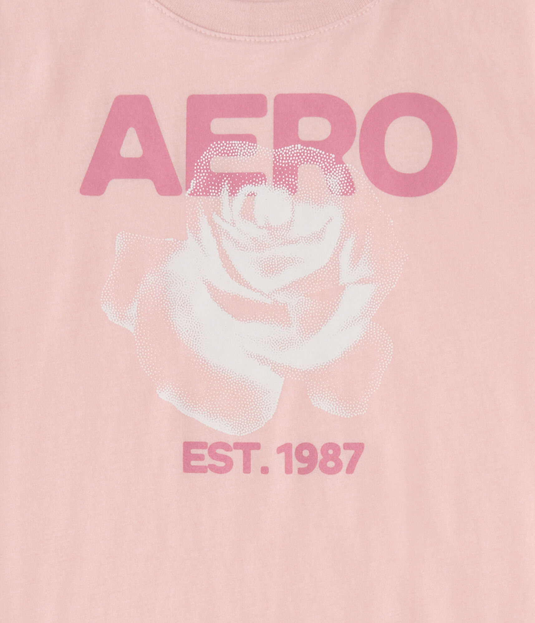 Aero Dotted Rose Graphic Tee