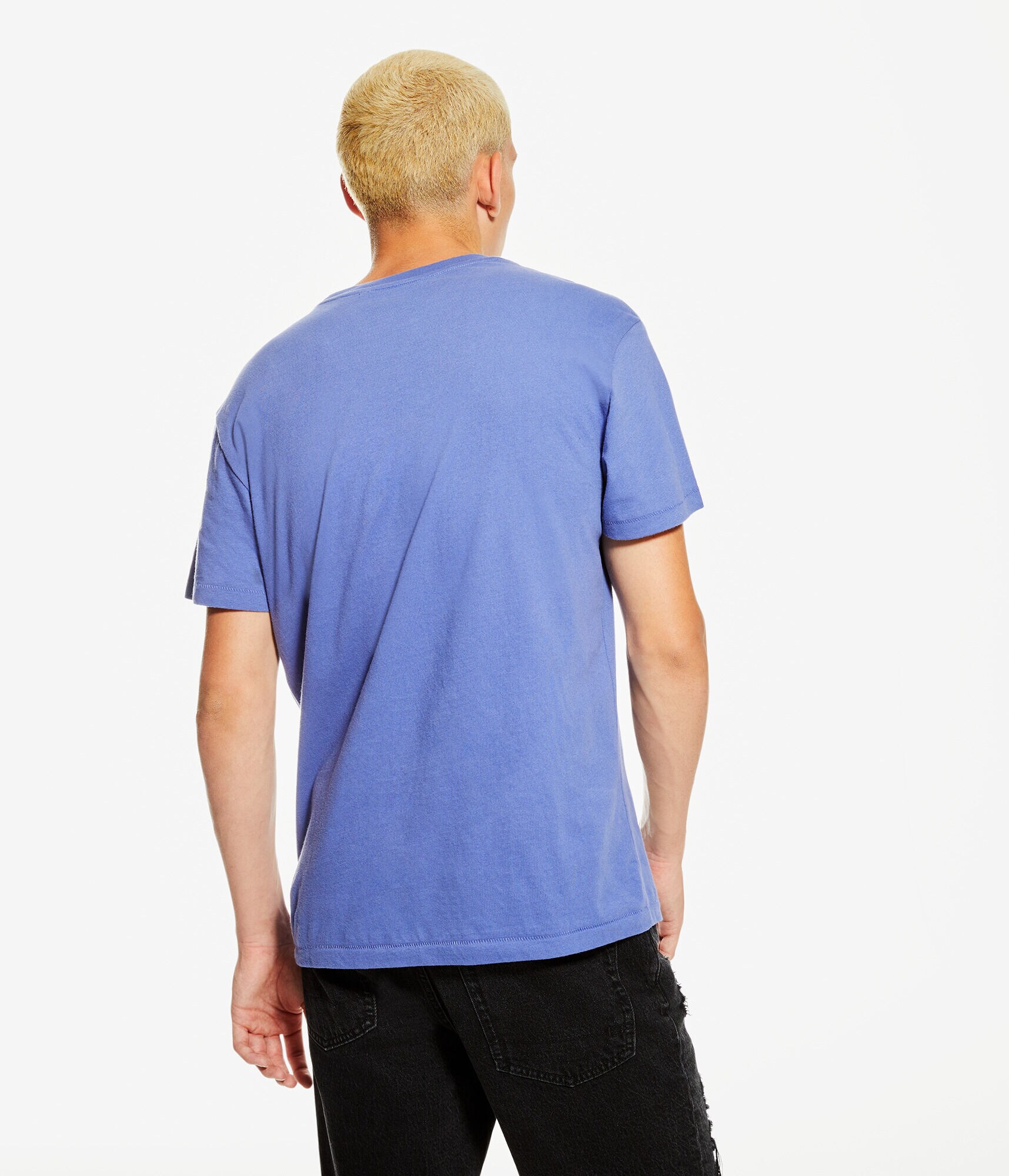 Wolf Desert Graphic Tee