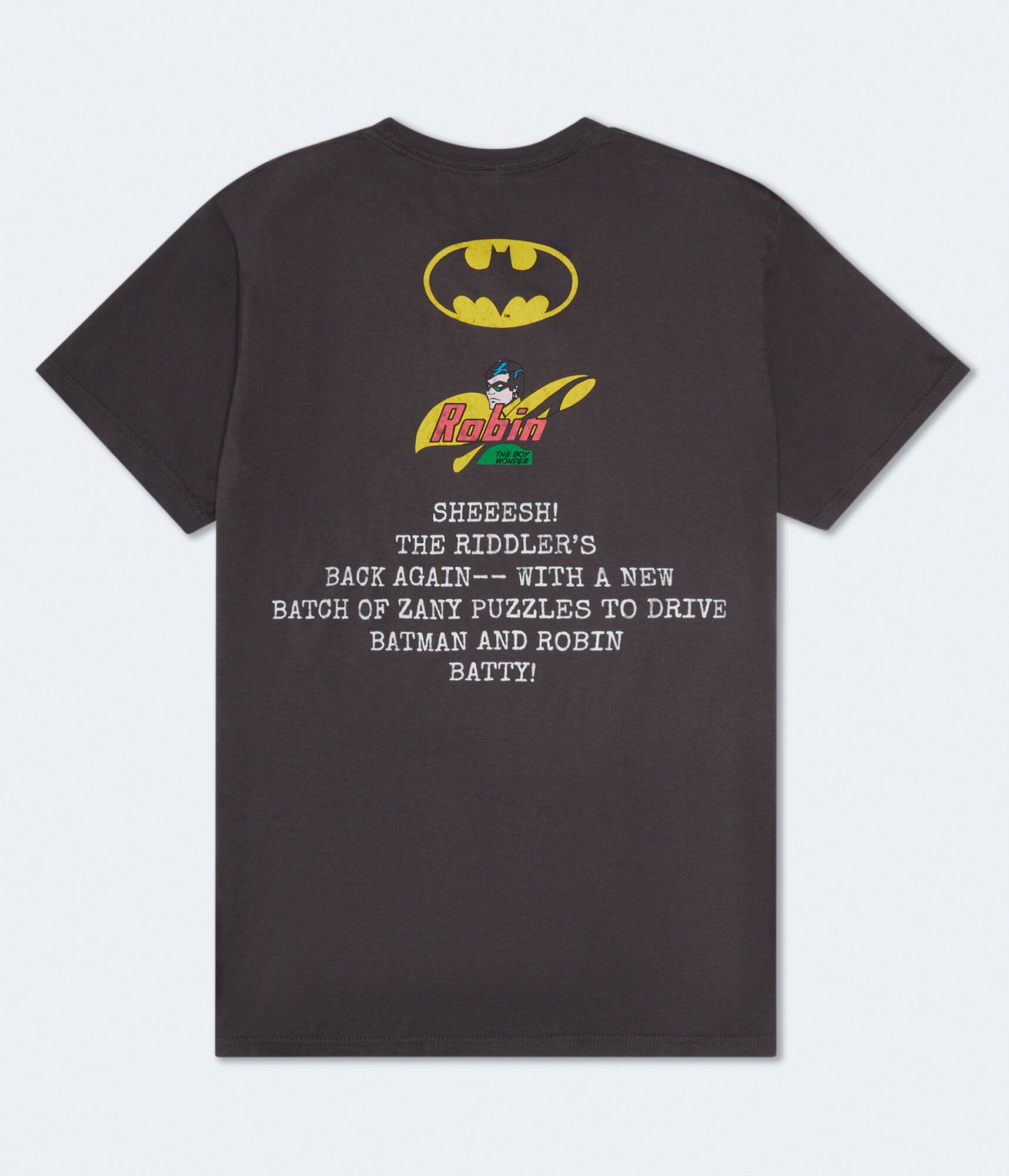 Batman And Robin Relaxed Graphic Tee