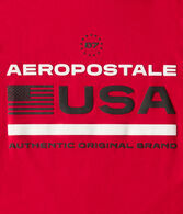 Aeropostale USA Flag Graphic Tee
