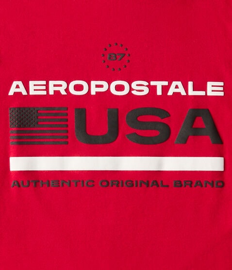 Aeropostale USA Flag Graphic Tee Aeropostale USA Flag Graphic Tee