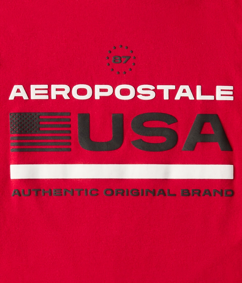 Aeropostale USA Flag Graphic Tee