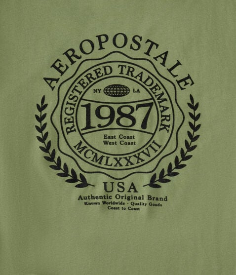 Aeropostale Laurel Circle Flocked Graphic Tee Aeropostale Laurel Circle Flocked Graphic Tee
