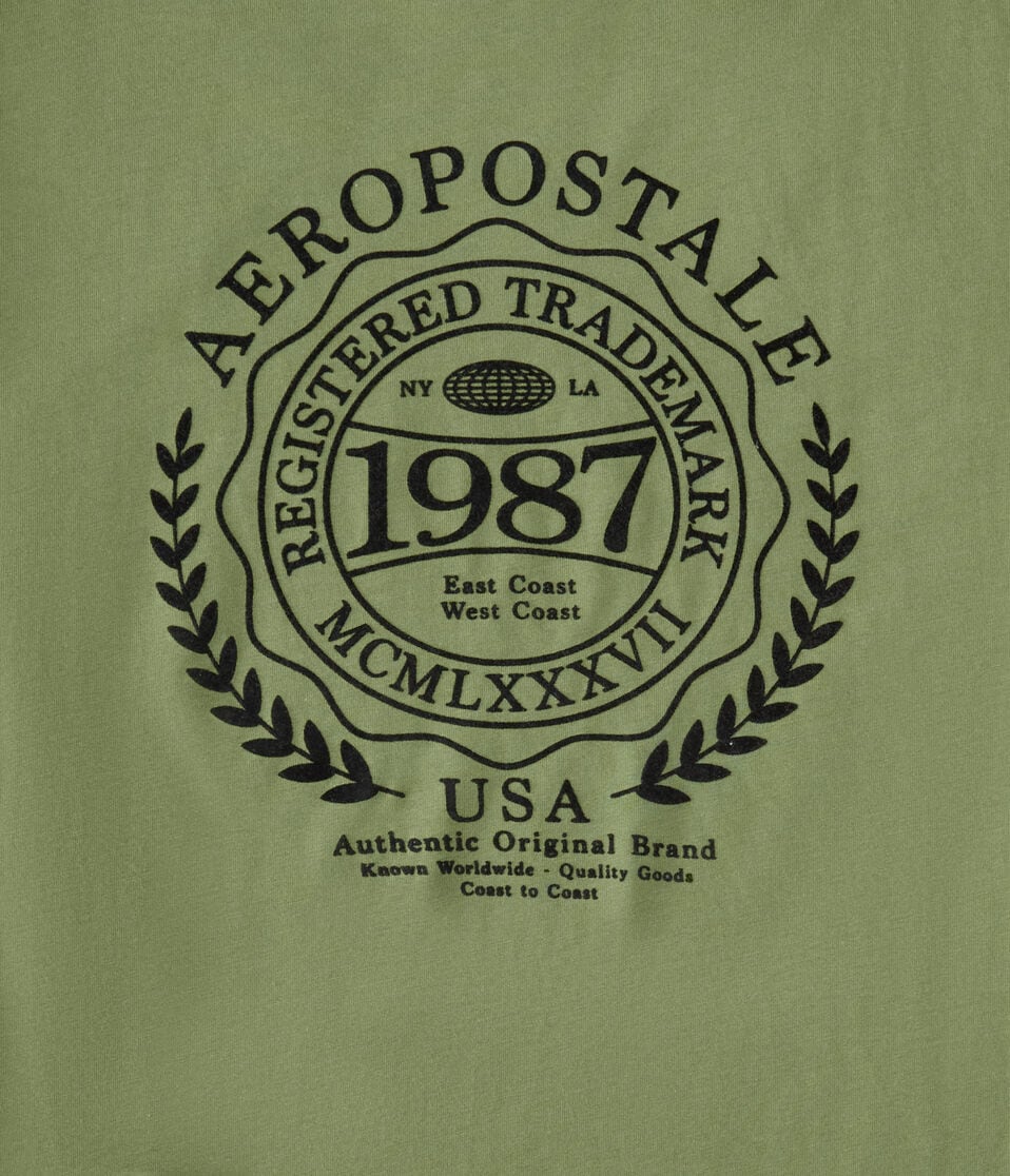 Aeropostale Laurel Circle Flocked Graphic Tee