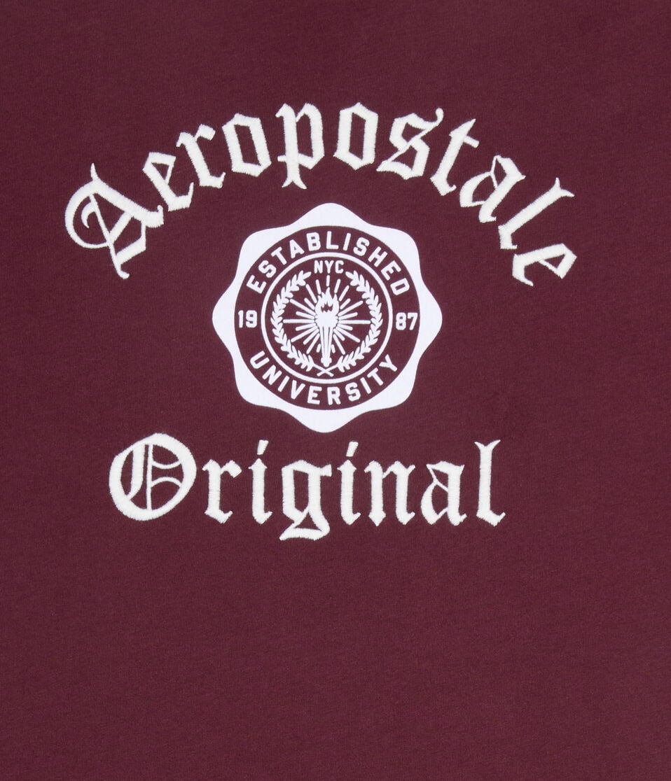 Aeropostale Original Crest Graphic Tee